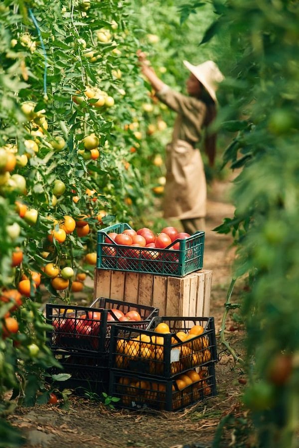Les personnes derrière la conception de Notre-Dame de Paris : qui sont-elles ?