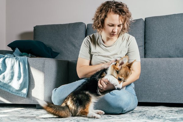 Compagnons animaux : joie, bonheur et santé au quotidien