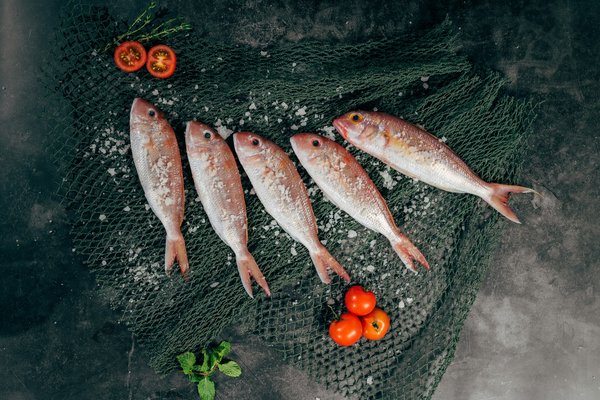 Recettes de poisson délicieuses pour le barbecue