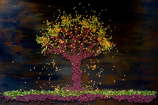 Quelle est l'importance des espèces végétales locales dans la conception de jardins urbains durables ?