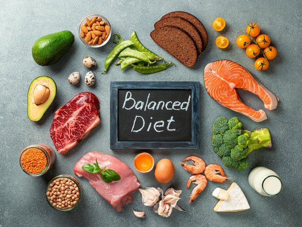 Comment adopter une alimentation équilibrée pour un mode de vie sain ?