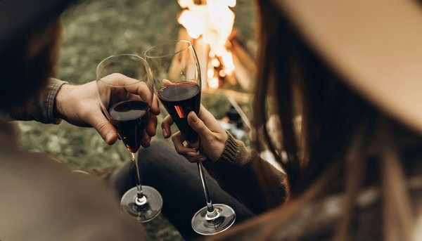 Vin des Côtes du Rhône : l'excellence dans une bouteille